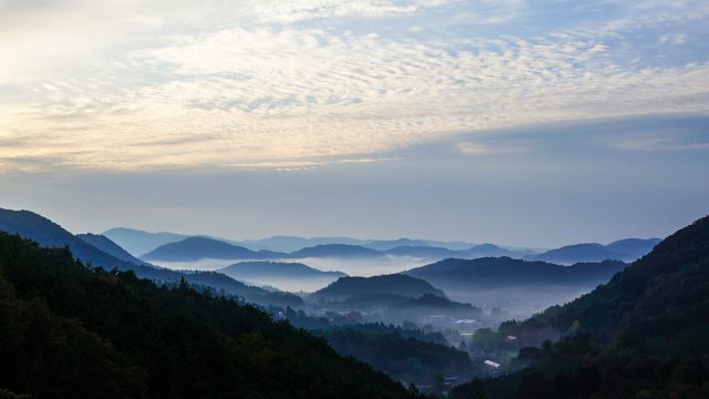 兵庫県丹波篠山市