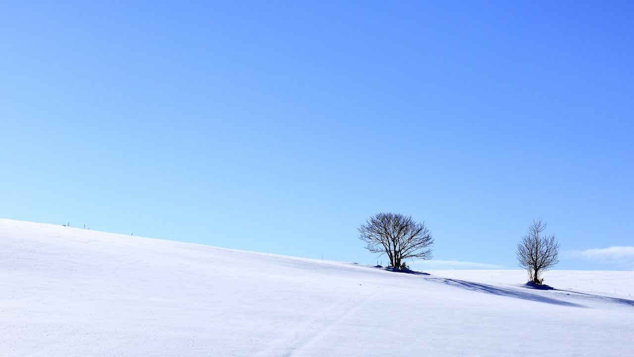 雪国移住