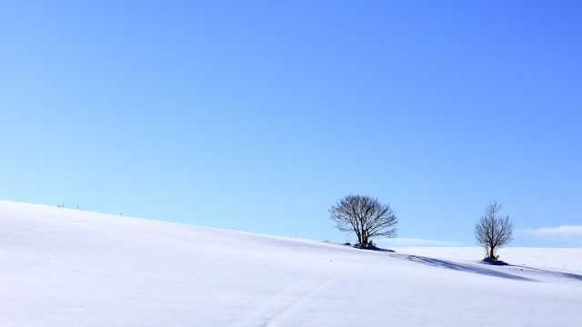 雪国移住