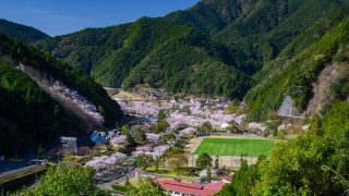 山間に栄える桜の咲く集落