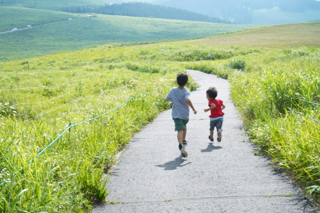 野原を走る子供達の様子