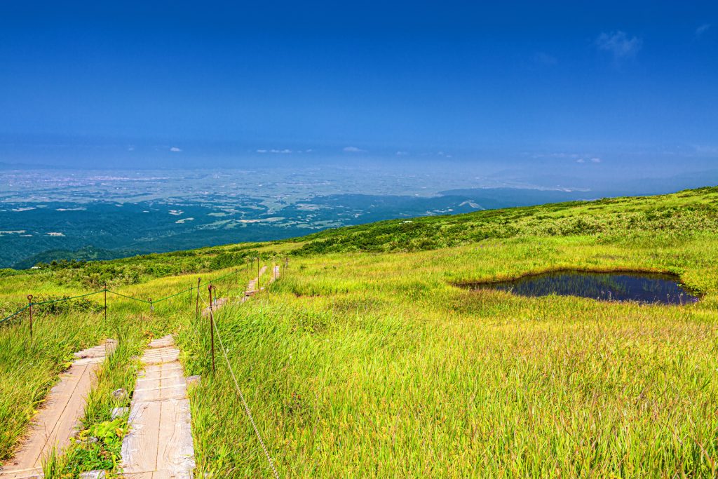 丘から一望する街並み