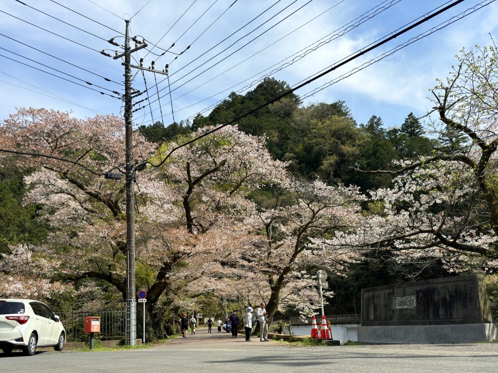 鎌北湖の様子