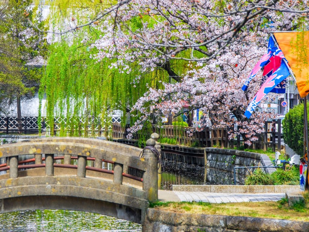 土浦市の公園の様子