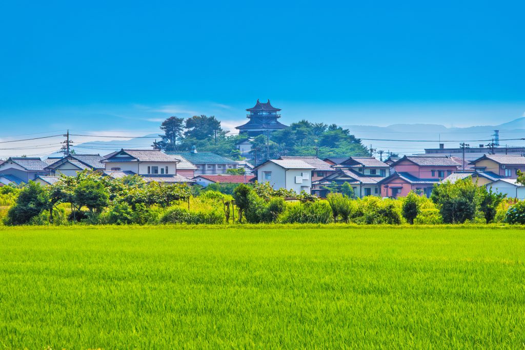 田んぼと住宅街の奥に聳えるお城