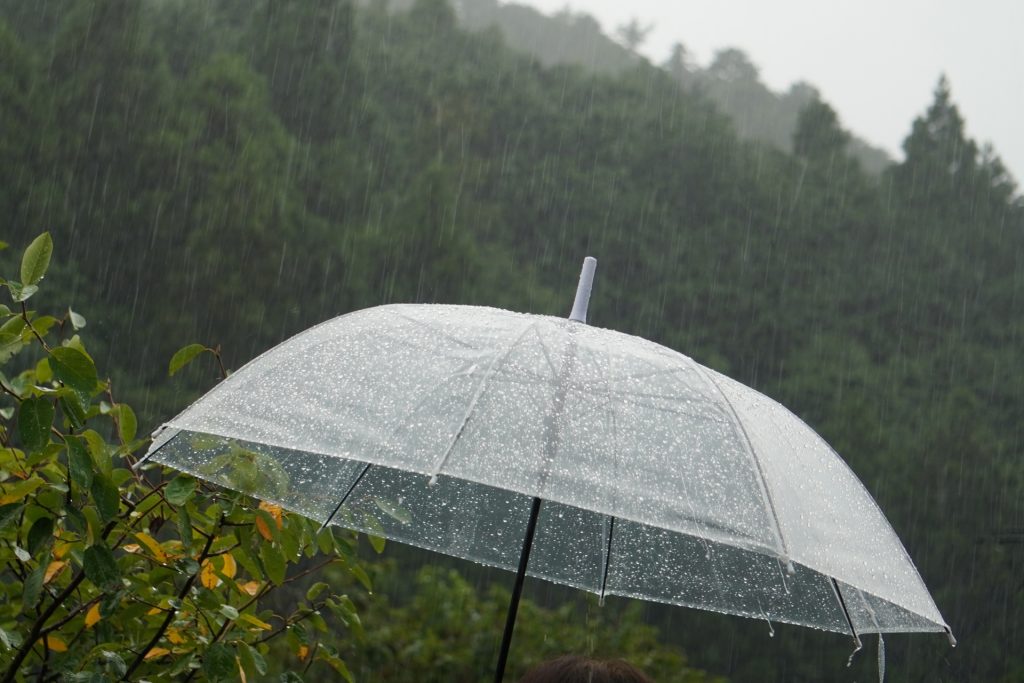雨に打たれる傘