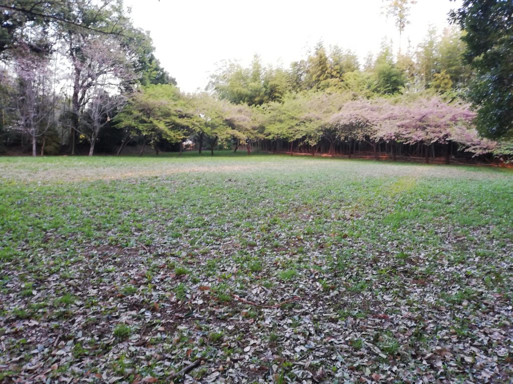 取手市の高井城址公園の様子