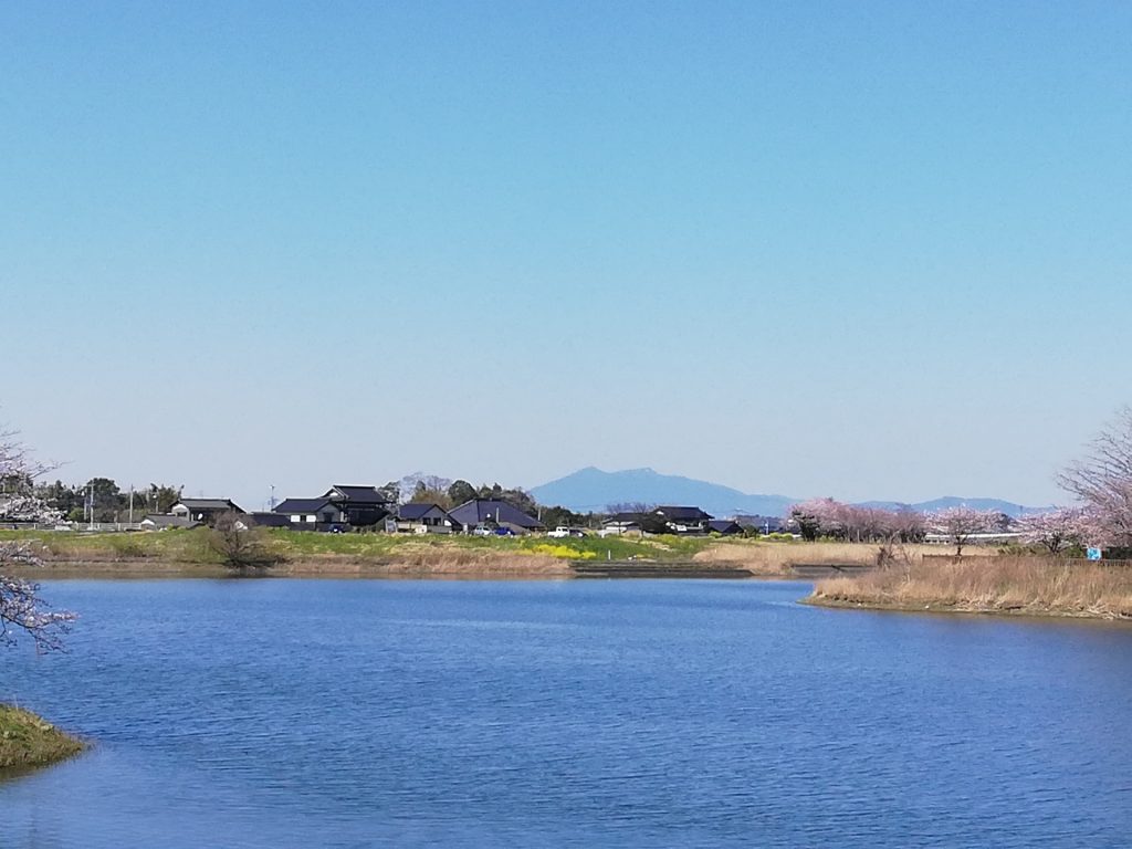 水辺と筑波山の様子