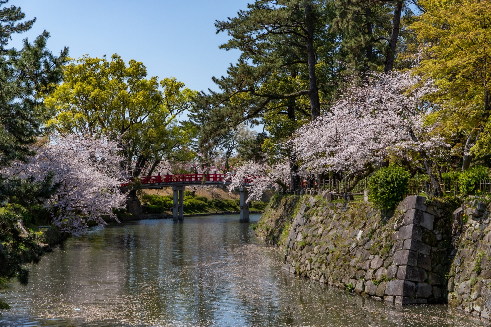 岡崎市の自然の様子