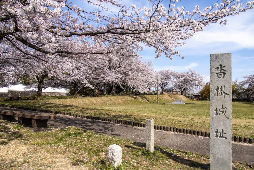 沓掛城址の桜の様子