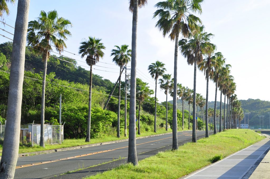 蒲郡市のガマフォルニアの様子