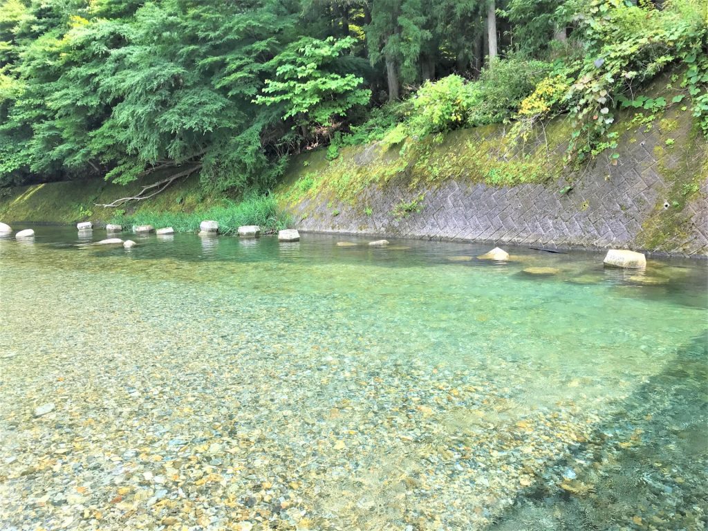 大芦川の清流の様子