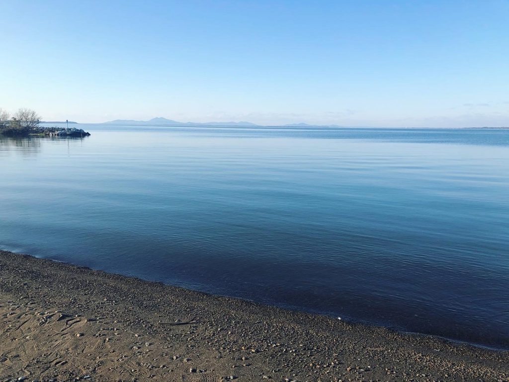 霞ヶ浦の様子