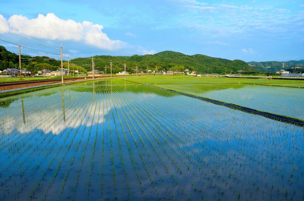 三田市