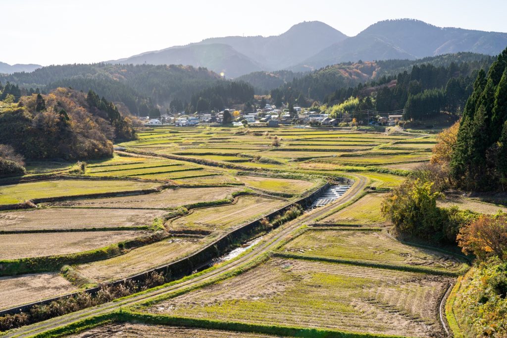 土地購入