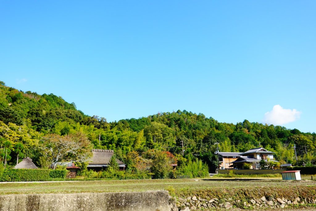 田舎の風景の様子