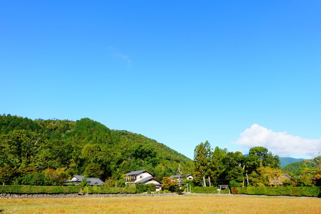 嵯峨野の田園風景の様子