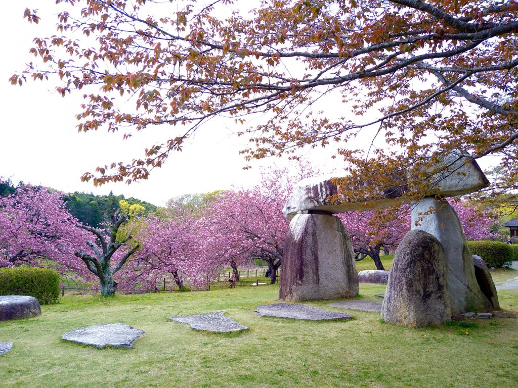 常陸風土記の丘の様子