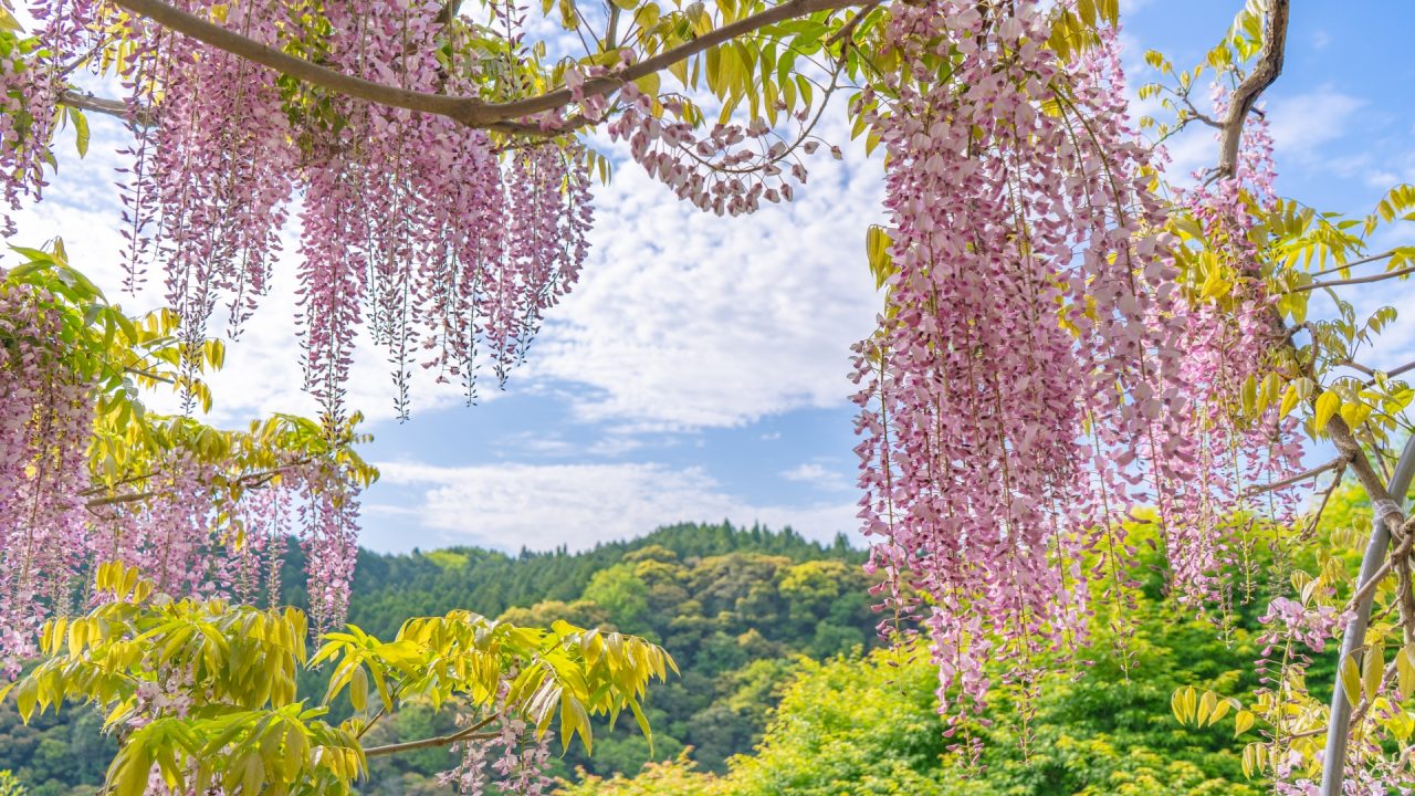 岡山県