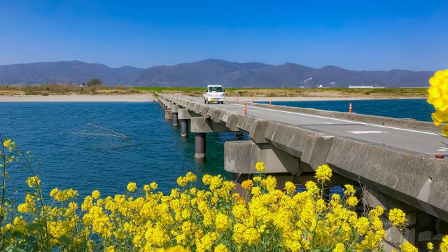 【徳島県】名西郡石井町