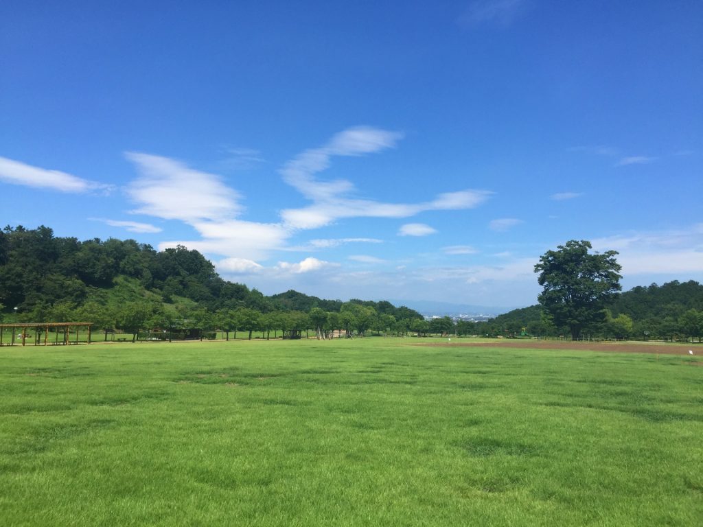 観音山ファミリーパークの様子