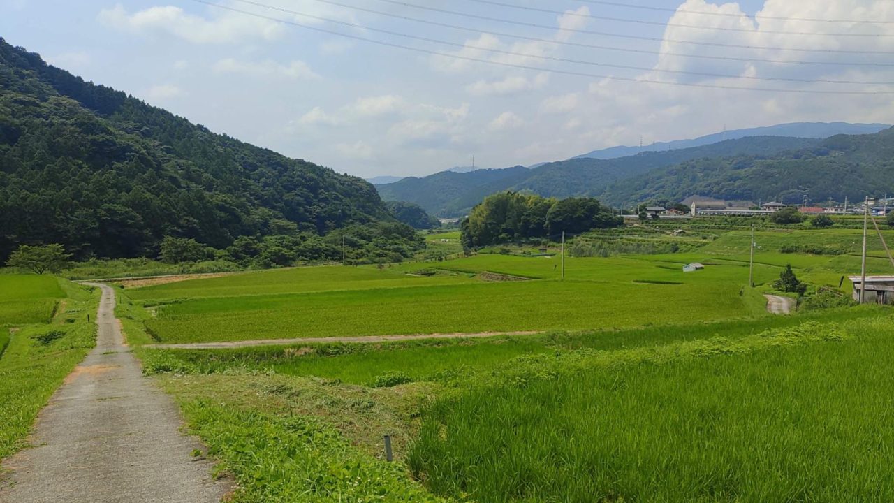 田舎へ